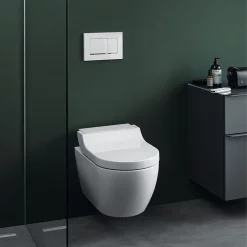 Geberit Sigma30 Dual Flush Plate - White/Gloss Chrome/White