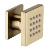 Arezzo Brushed Brass Body Jet - 1 X Slim Square Jet