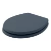 Bayswater Stiffkey Blue Fitzroy Soft Close Toilet Seat