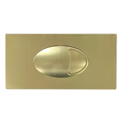 Cruze Bathroom Cruze Large Push Button Plate Brushed Brass