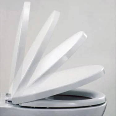 RAK Ceramic RAK Compact Soft Close Wrap Over Urea Seat 1 RAK Ceramic RAK Compact Soft Close Wrap Over Urea Seat