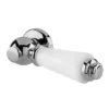 Hudson Reed White Ceramic Cistern Lever