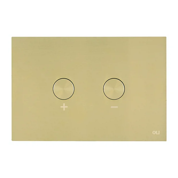 Just Taps Plu JTP Brushed Brass Steel Pneumatic Flush Plate 2 Just Taps Plu JTP Brushed Brass Steel Pneumatic Flush Plate - Image 2