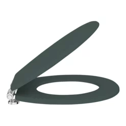 Chatsworth Green Soft Close Toilet Seat -smedbo shop grnchattsd1
