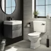 Cruze Bathroom Cruze Black Modern Cistern Lever