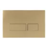 Crosswater MPRO Brushed Brass Dual Flush Plate