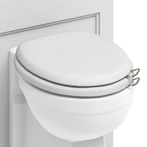 Urlington Bathroom Burlington Soft Close Toilet Seat With Chrome Hinges And Handles - Matt White 1 Urlington Bathroom Burlington Soft Close Toilet Seat With Chrome Hinges And Handles - Matt White